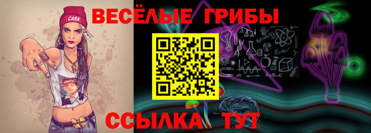 Михайловка  купить наркотик  Вход с VPN  Галлюциногенные грибы Psilocybine cubensis 
